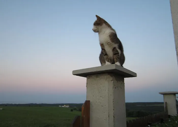 Bed and breakfast Vis