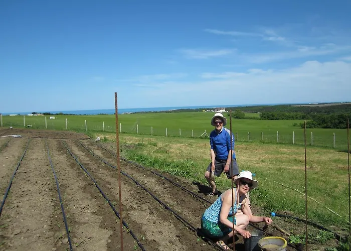 Vis Bed and breakfast