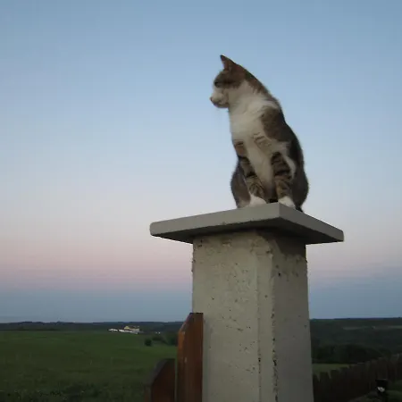 ベッド・アンド・ブレックファスト Vis