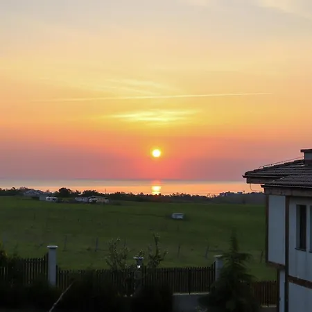 Vis 3*