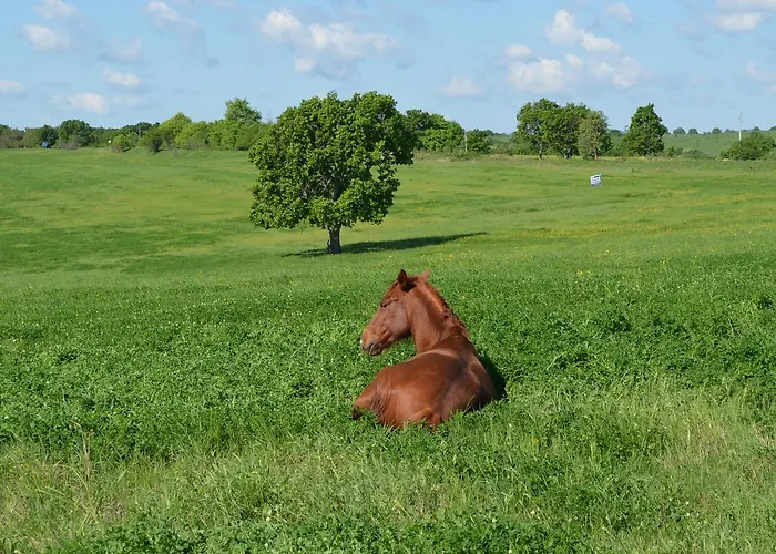 Nocleg ze śniadaniem Vis