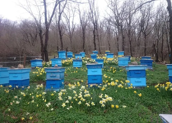 Nocleg ze śniadaniem Vis
